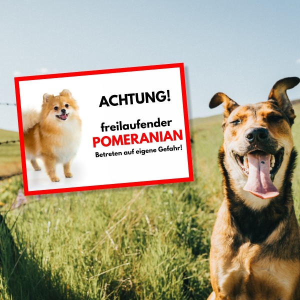 SchildFrei_Pomeranian1