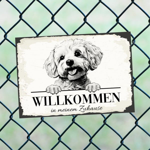 Hundeschild Willkommen Zuhause Bichon Frise Schild Achtung