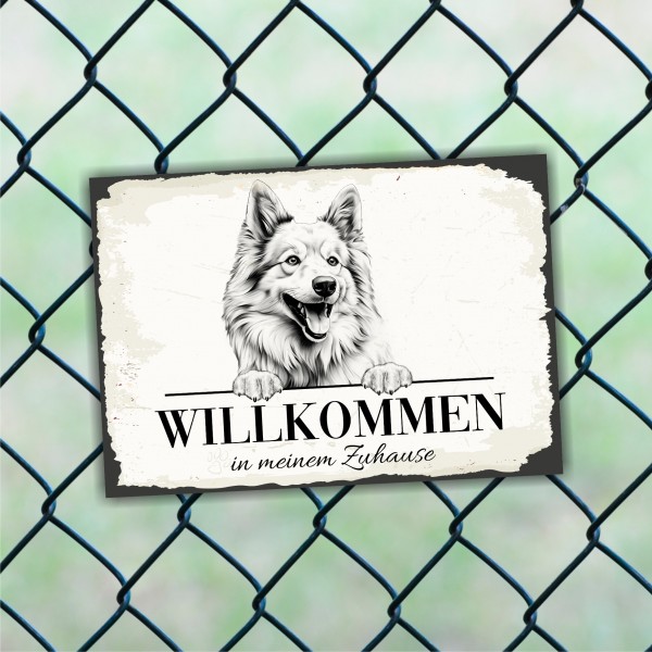 Hundeschild Willkommen Zuhause Islandhund Spitz Schild
