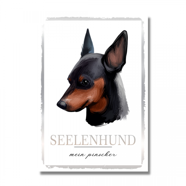 SeeleW_Pinscher1