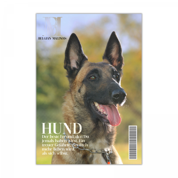 SchildMagazin_Malinois1
