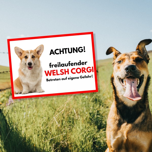 SchildFrei_WelshCorgi1