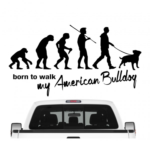 American Bulldog Amerikanische Bulldogge USA Old Country Bulldog Evolution Born to Walk Hunde Aufkleber Sticker Autoaufkleber Wandtattoo Tattoo