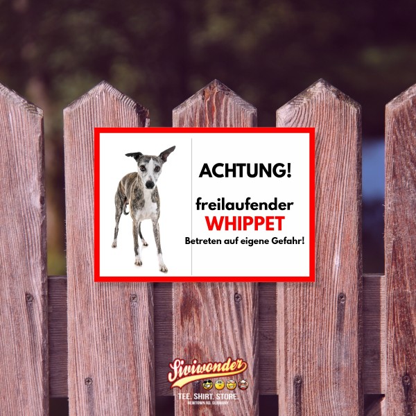SchildFrei_Whippet2