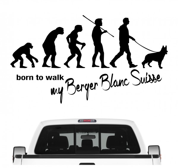 Berger Blanc Suisse White German Shepherd Dog American White Shepherd WS WGSD Evolution Born to Walk Hunde Aufkleber Sticker Autoaufkleber Wandtattoo Tattoo
