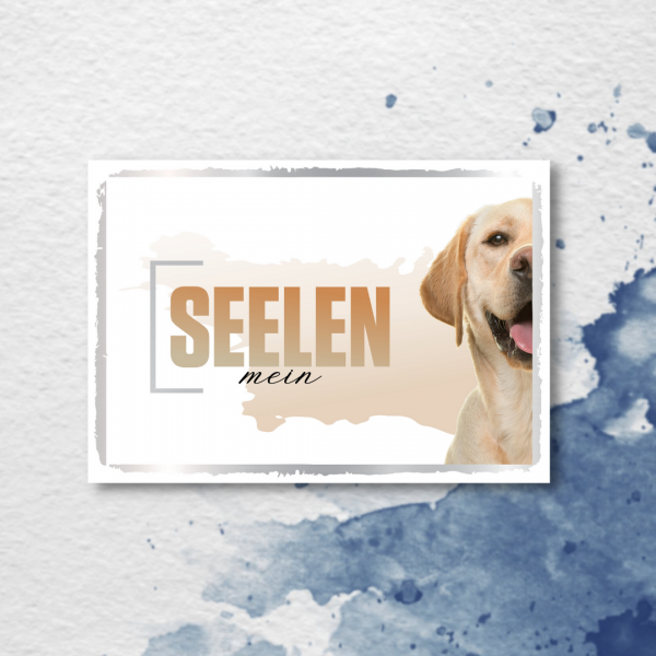SeeleD_Labrador2