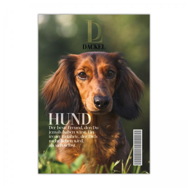 SchildMagazin_Dackel1