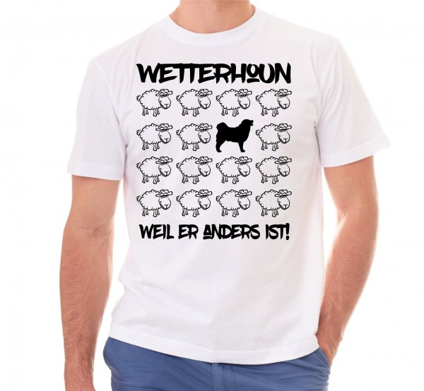 T_Sheep_WetterhounW