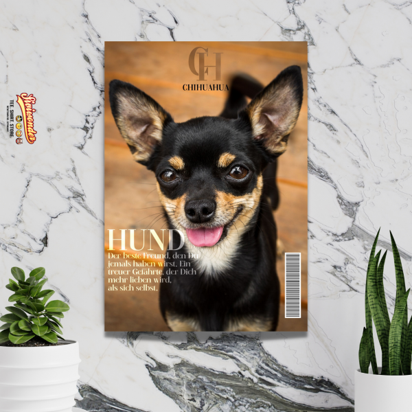 SchildMagazin_Chihuahua2