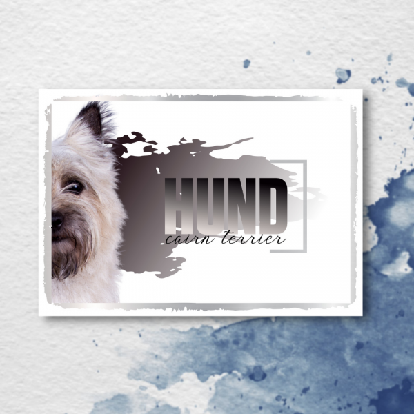 SeeleD_CairnTerrier3