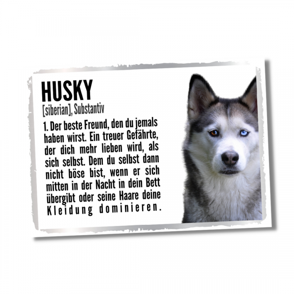 Duden_Husky1