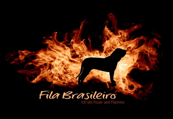 UTFlamme_FilaBrasilMo