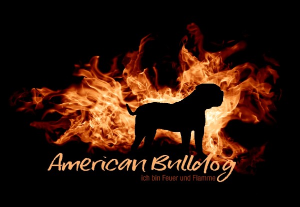 UTFlamme_AmBulldogMo