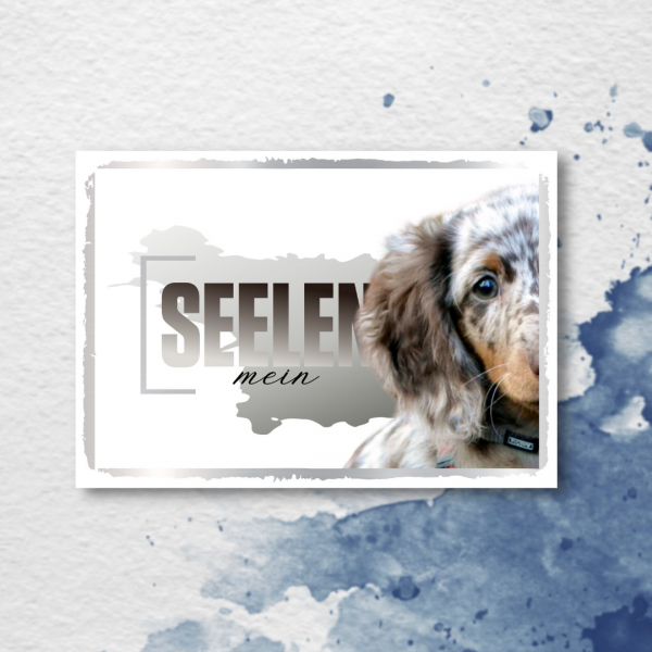 SeeleD_Dackel3_2