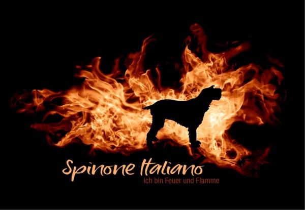 UTFlamme_SpinoneItalMo