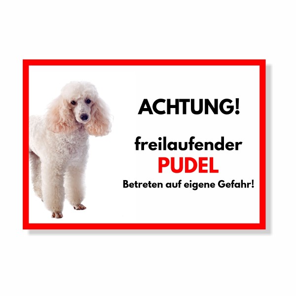 SchildFrei_PudelWeiss