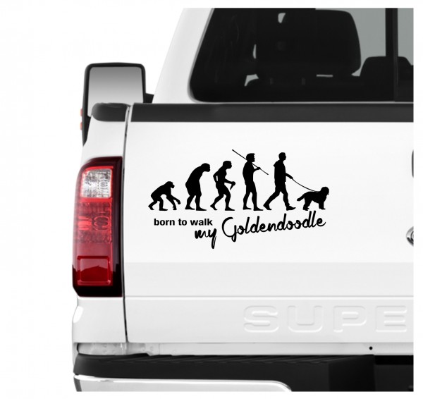 Goldendoodle Doodle Goldie Golden Retriever Pudel Mix Mischling Evolution Born to Walk Hunde Aufkleber Sticker Autoaufkleber Wandtattoo Tattoo