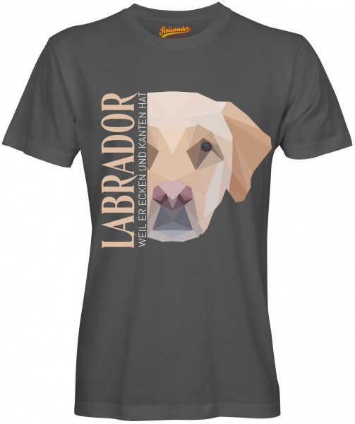 UTPoly_LabradorDG