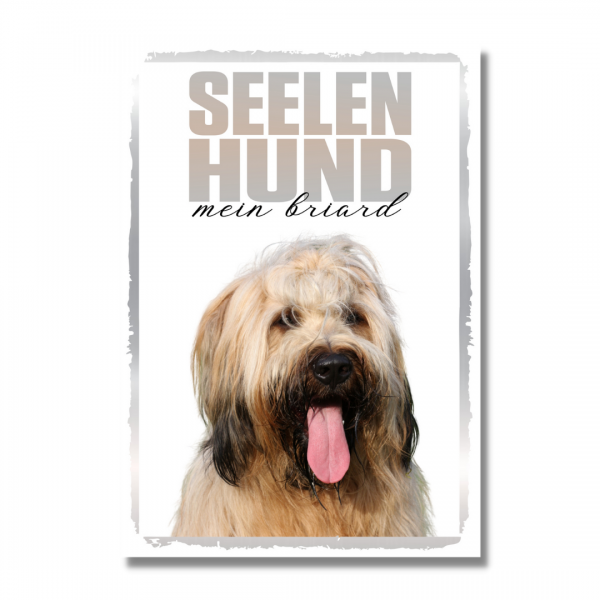SeeleR_Briard1