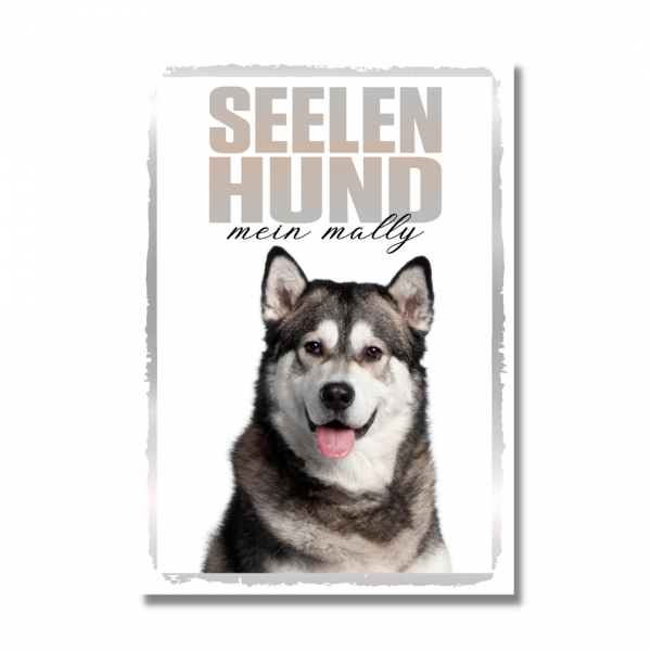 SeeleR_AlaskMalamute1