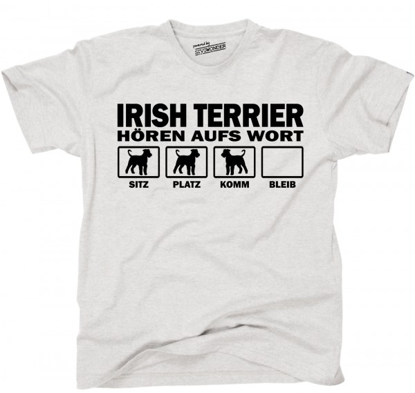 UTHAWIrishTerrierAS