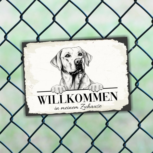 Hundeschild Willkommen Zuhause Labrador Labby Schild Achtung Spruch
