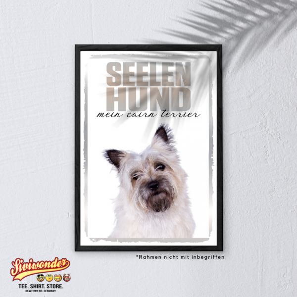 SeeleR_CairnTerrier3