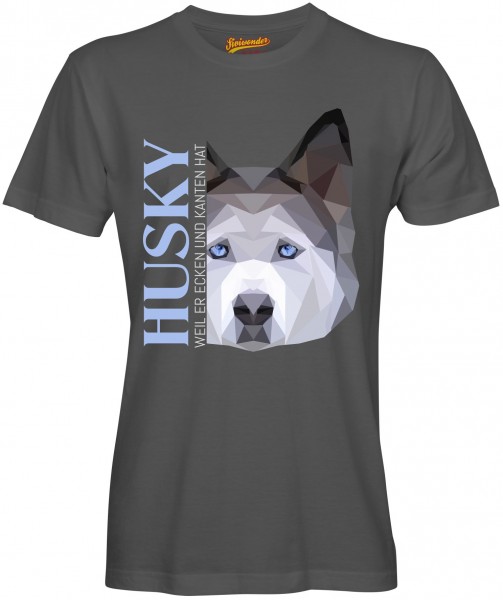 UTPoly_HuskyDG