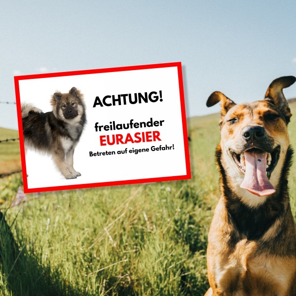 SchildFrei_Eurasier1