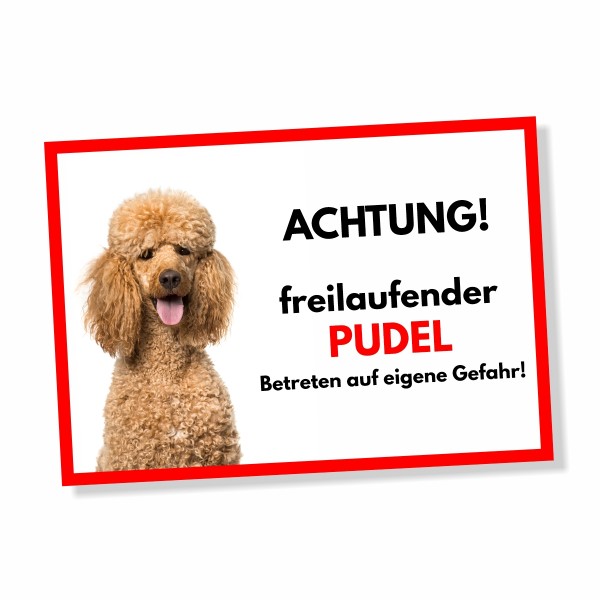 SchildFrei_Pudel