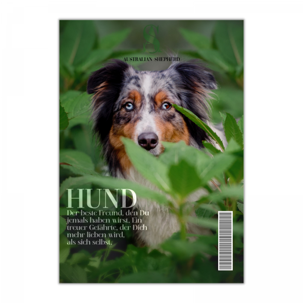 SchildMagazin_AussieBlue1