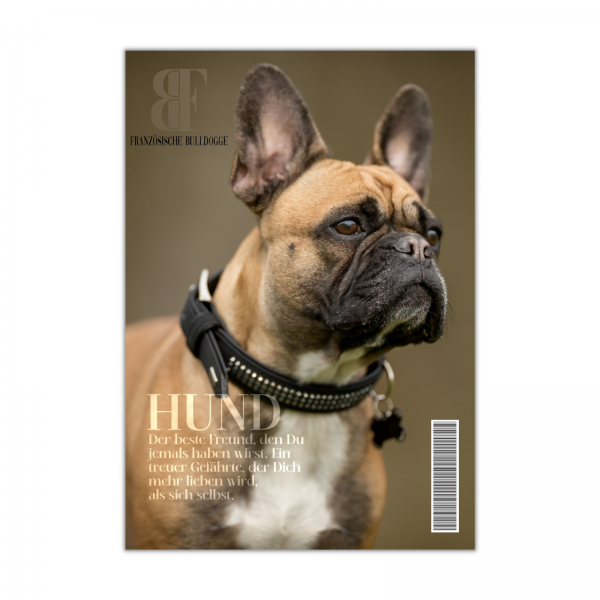 SchildMagazin_Frenchie1