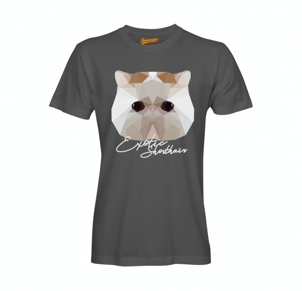 UT_ExoticShorthairDG