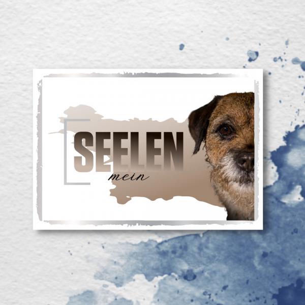 SeeleD_BorderTerrier2