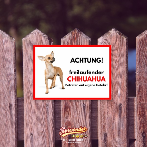 SchildFrei_Chihuahua2