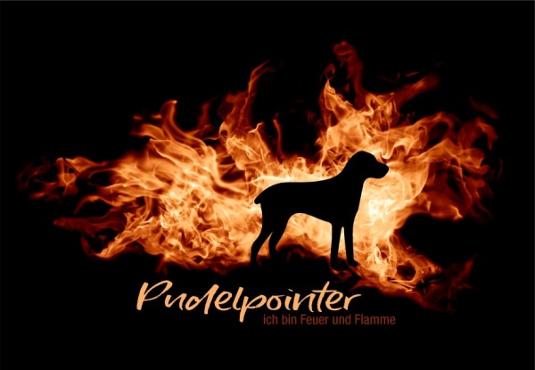 UTFlamme_PudelpointerMo