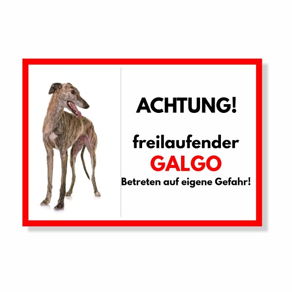 SchildFrei_Galgo