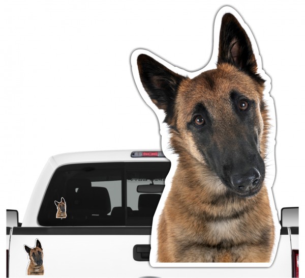 Malinois Belgian Mali Belgischer Schäferhund Berger Belge Dog Pfoten Digitaldruck Motiv by SIVIWONDER