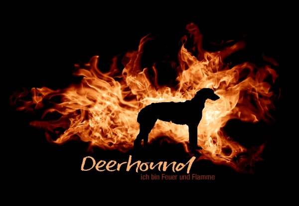 UTFlamme_DeerhoundMo