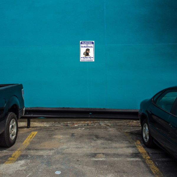 Rauhaardackel Dackel Teckel Dachshund Rauhhaardackel Dog Parkplatzschild Türschild Warnschild Hund Schilder happy Design by Siviwonder