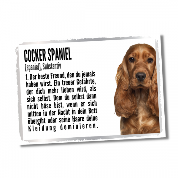 Duden_CockerSpaniel2_1