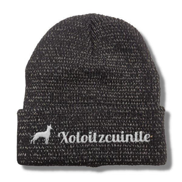 RefBeane_Xoloitzcuintle