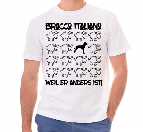 T_Sheep_BraccoItalianoW