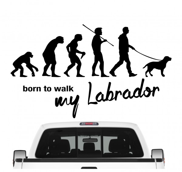 Labrador Labby Retriever Lab Labbie Evolution Born to Walk Hunde Aufkleber Sticker Autoaufkleber Wandtattoo Tattoo