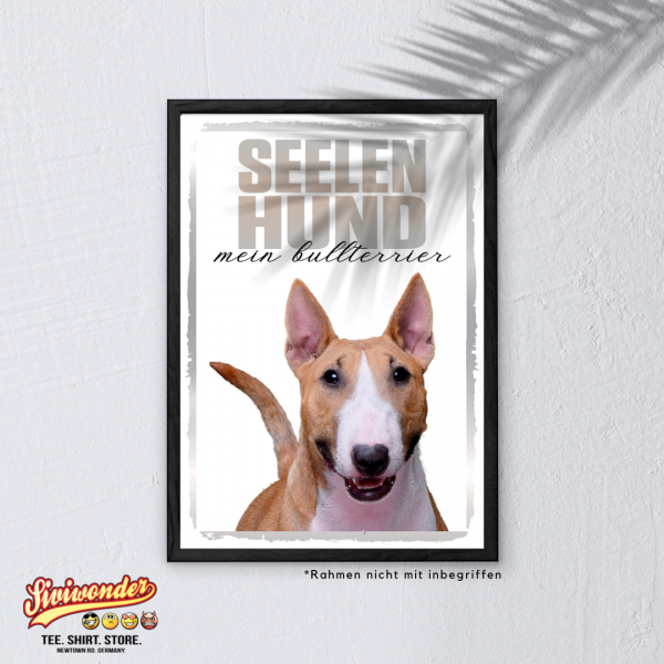 SeeleR_MiniBullterrier3