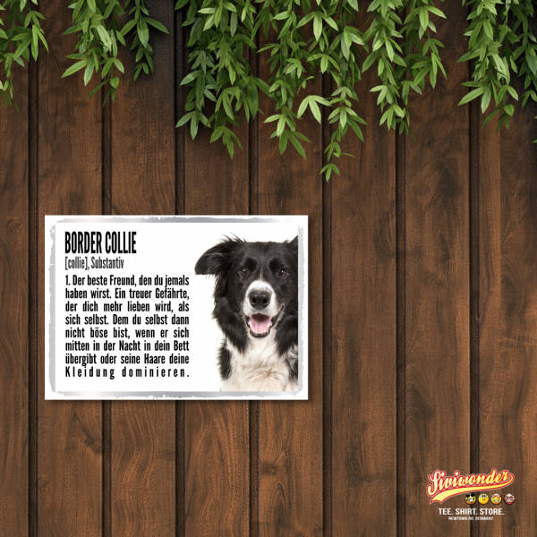 Duden_BorderCollie2