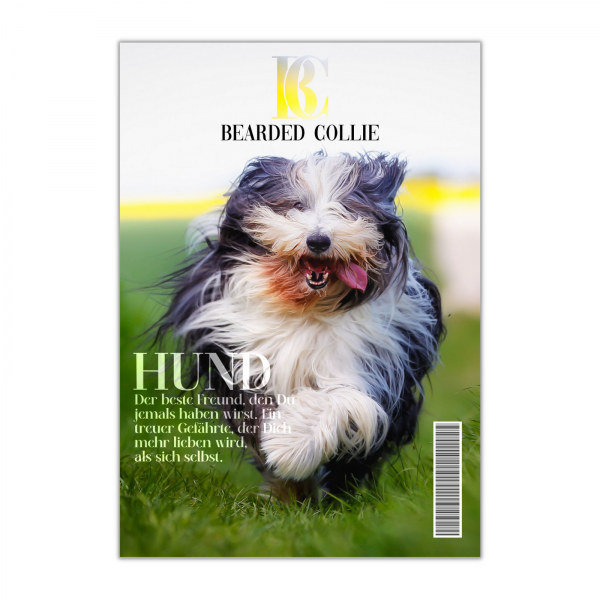 SchildMagazin_BeardedCollie1