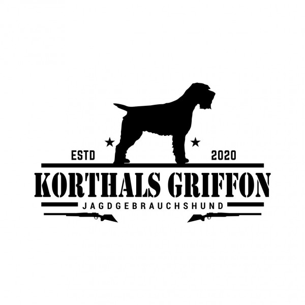 JagdAuf_KorthalsGriffonB