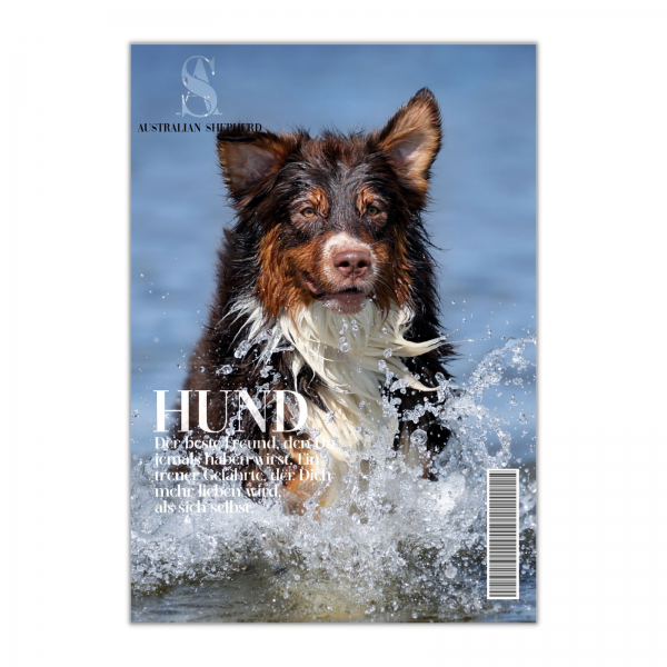 SchildMagazin_AussieBr1