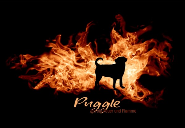 UTFlamme_PuggleMo